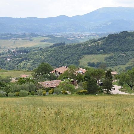 Valfabbrica Agriturismo Terra Selvatica المظهر الخارجي الصورة