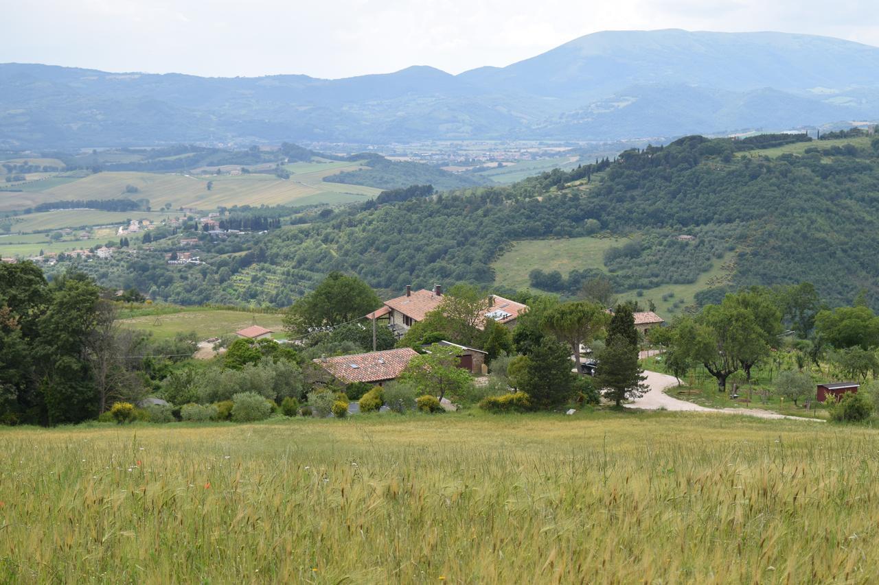 Valfabbrica Agriturismo Terra Selvatica المظهر الخارجي الصورة